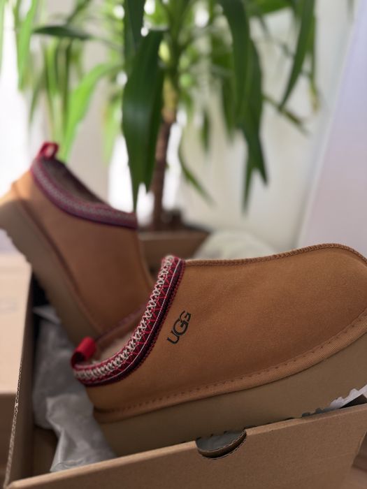 UGG tazz (зимові уги)