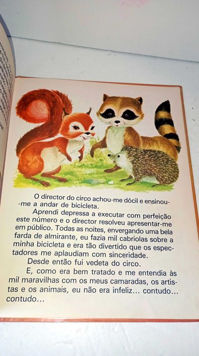 Ursinho e os seus Amigos