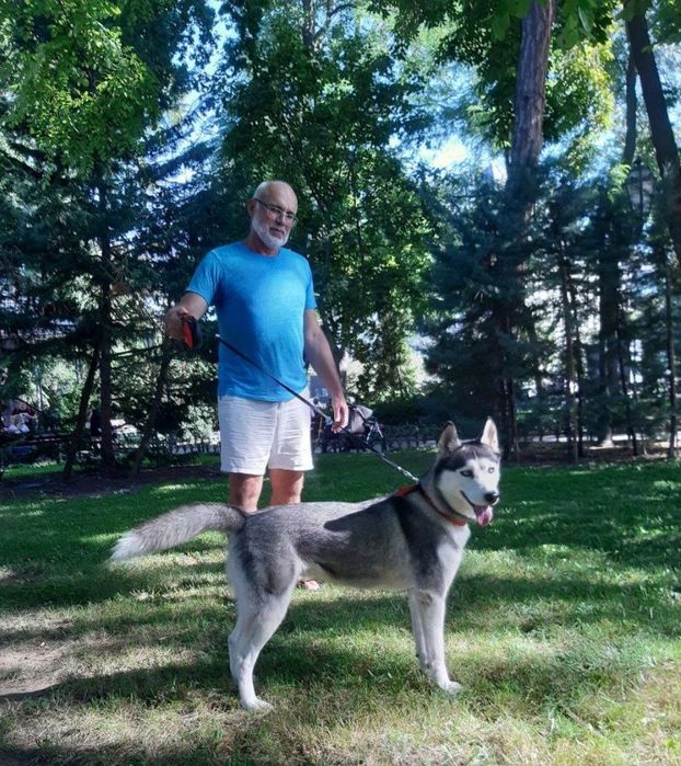 Передержка животных