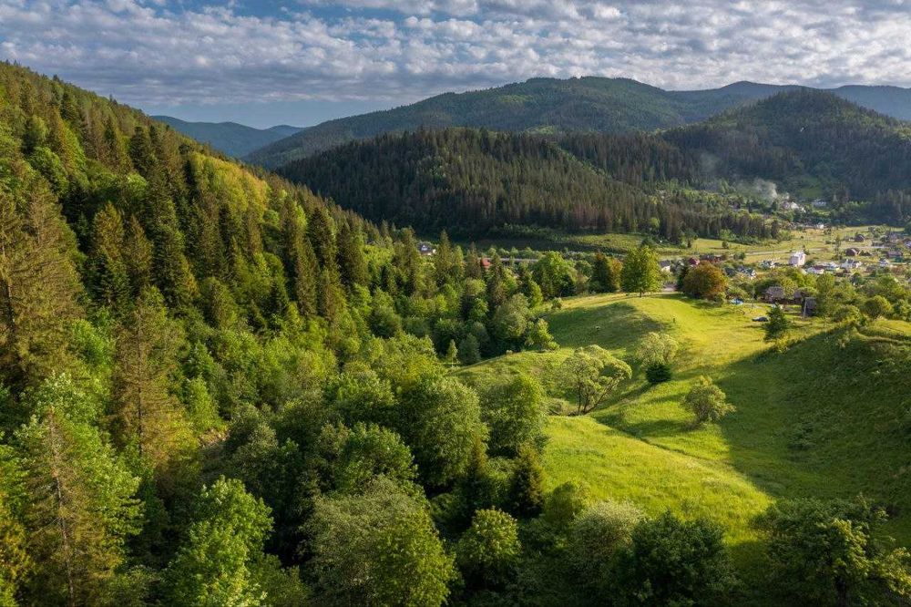 Земельна ділянка в Микуличині 1.40 га
