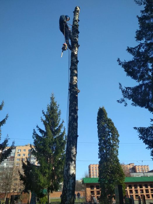 Спил ,ВИДАЛЕННЯ!Проблемних, Великих, Аварійних дерев!!!Арборист.