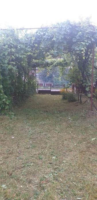 Продається будинок із земельною ділянкою в с. Циганівці