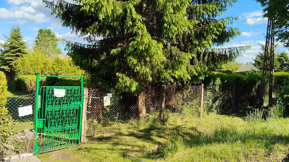 Przeniosę prawa do działki ROD w Pile. - Widok 6