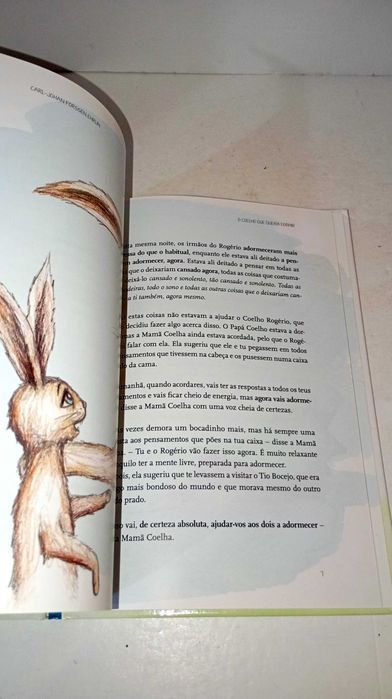 O Coelho que queria dormir
