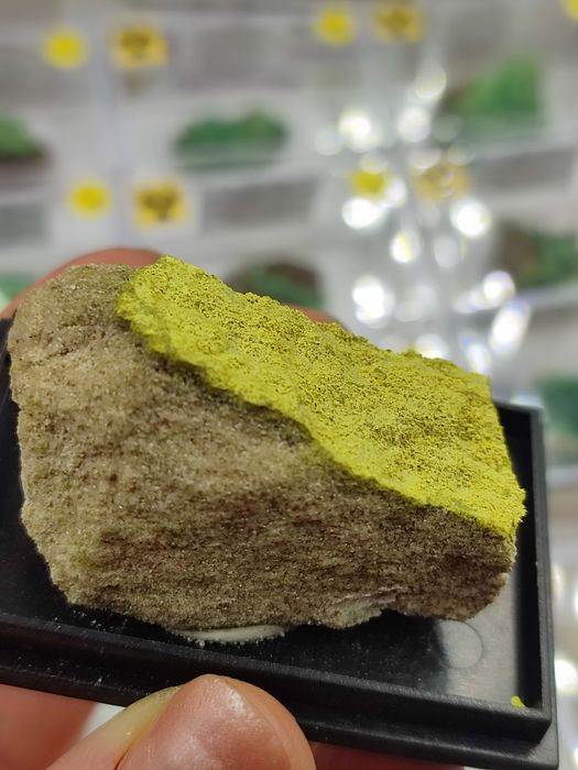 Minerał uranowy do kolekcji tyujamunit