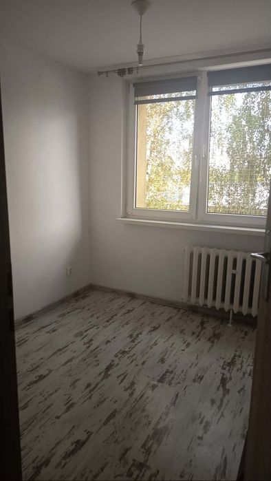 Zdjęcie 8