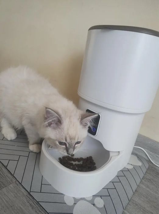 Alimentador cão e gato automatico por HI-FI