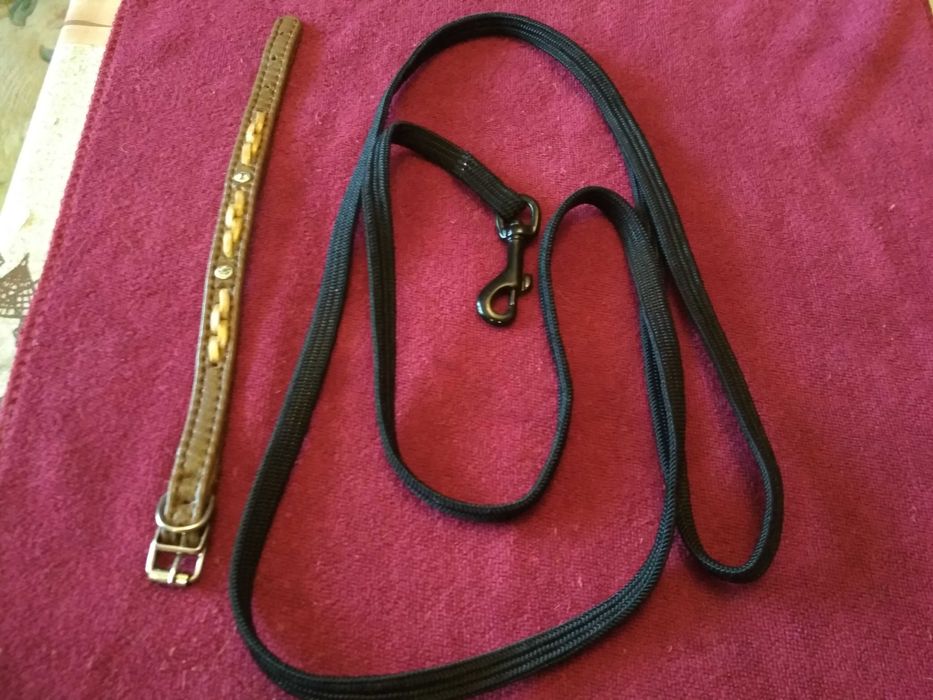 Один Лот Поводок з резинкою125см.новий+Ошийник 25см. для собачок-котів