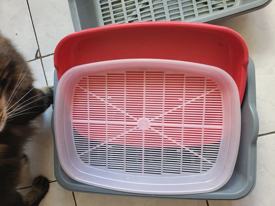Лоток  для котов б/у