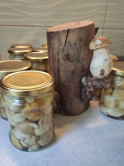 Prawdziwki marynowane