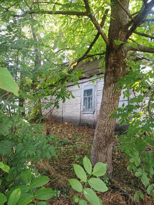 Земельна ділянка з будівлею с.Забороль