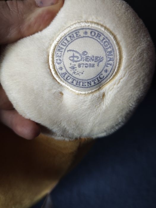 Wielka maskotka Disney lady zakochany kundel