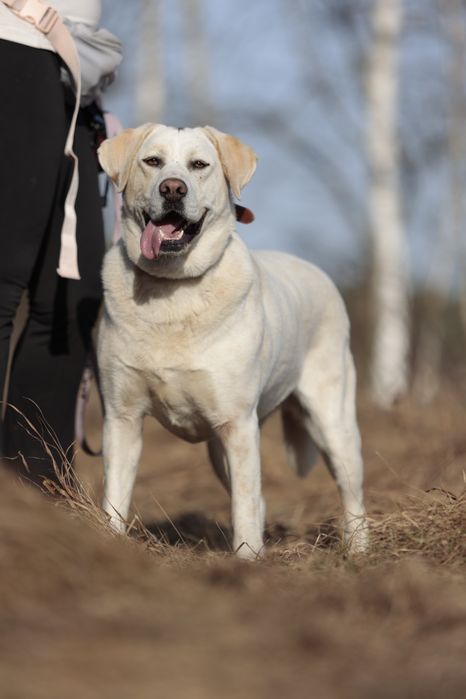 Młoda Łucja o wielkim sercu szuka swojej rodziny na zawsze
