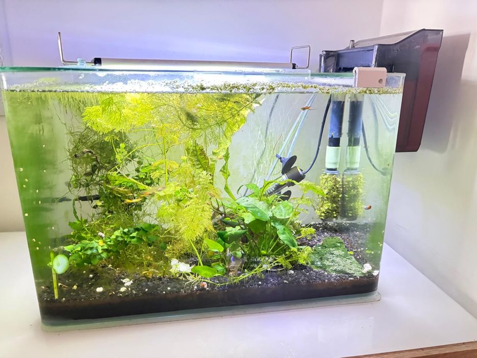 Aquário panorâmico de 35 litros