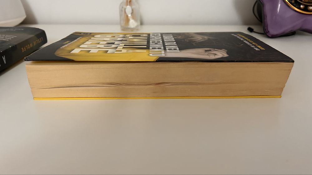 Livro policial, O diario do meu desparecimento