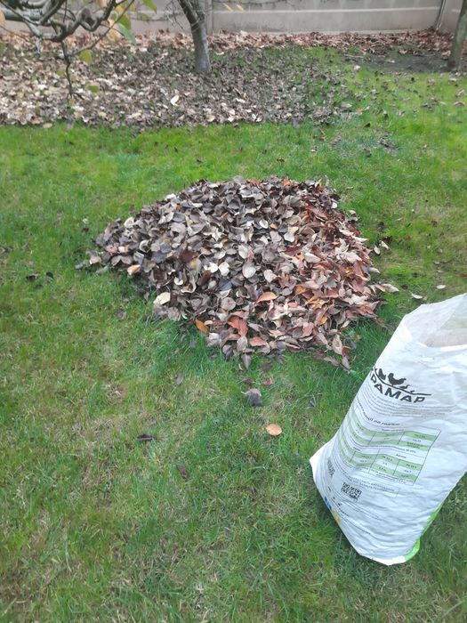 Робітник на дому або дачі.