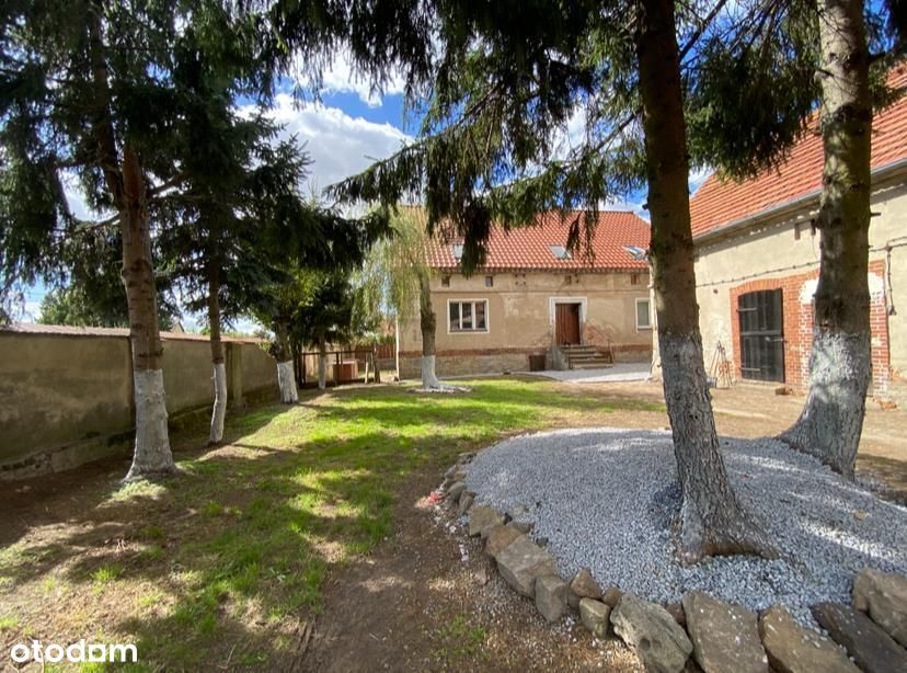 Dom Z Potencjałem I 259 M² Zabudowań Gospodarczych