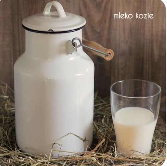 Świeże kozie mleko od kozy anglonubijskiej