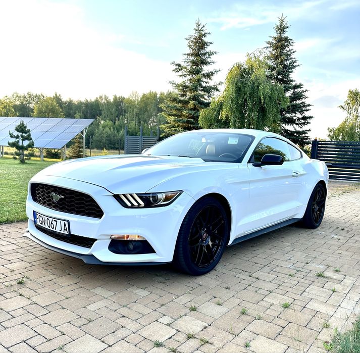 Wynajem Audi RS Mercedes AMG BMW M2  Mustang cabrio wypożyczalnia aut