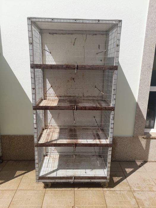 Gaiolas de pássaros