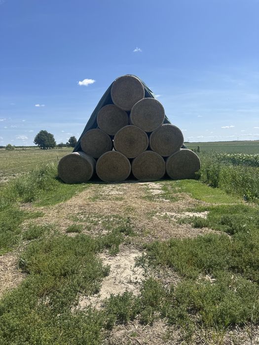 Słoma pszenna, żytnia i pszenżytnia (słoma twarda)