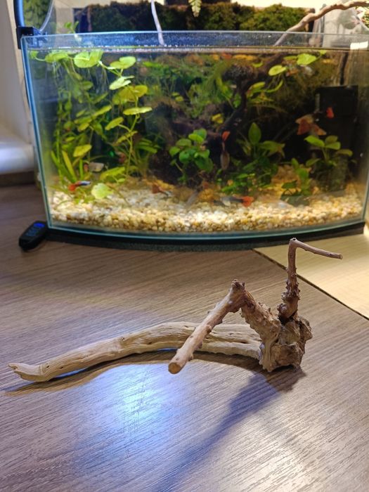 Коряга для акваріуму. 110 грн