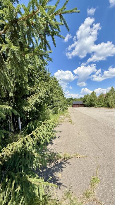 Продаж Ділянки  34,4га +14,34 га, біля  "Dreamland", с. Нові Безрадичі