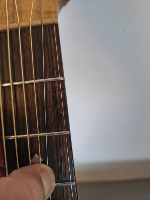 Gitara akustyczna Cole Clark FL 2A
