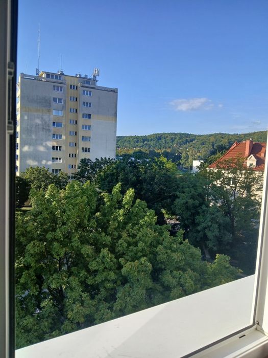 Zdjęcie 8