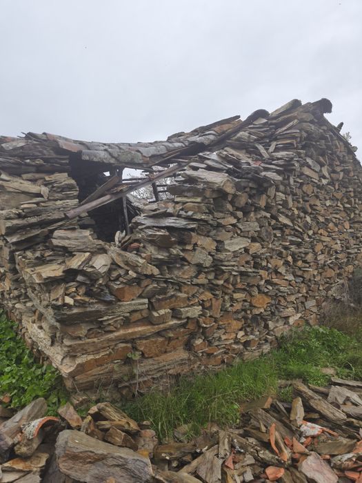 Terreno rústico em Moncorvo