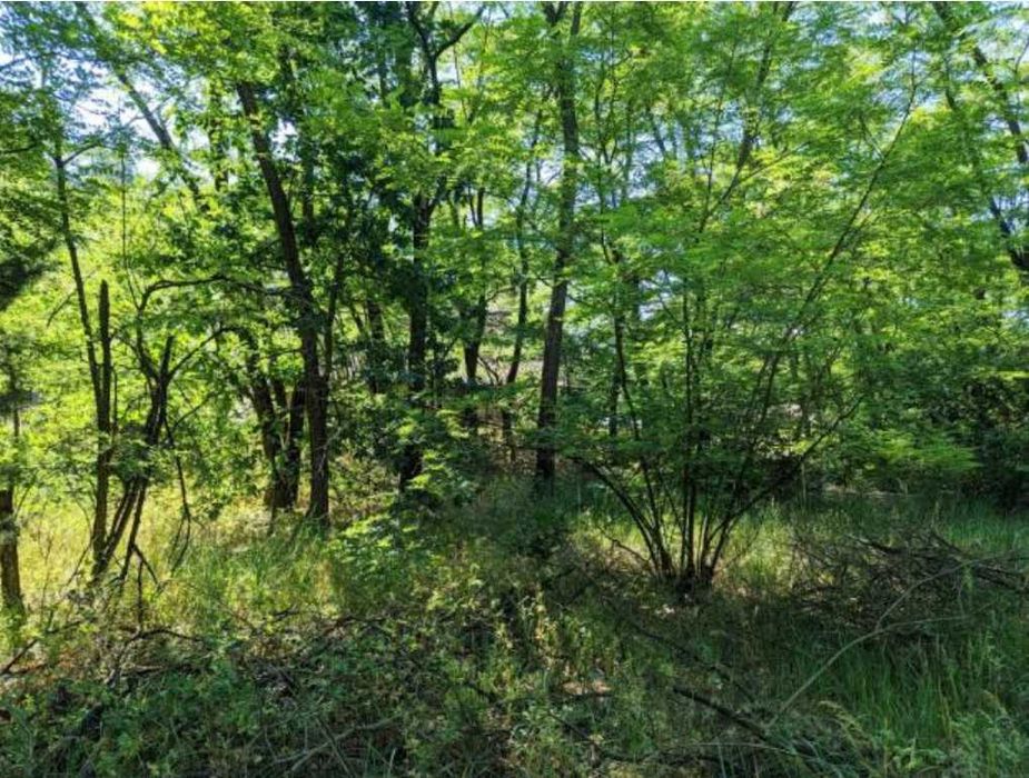 Продаж земельної ділянки 18,35 сот. Київська обл., с.Кийлів  22000$