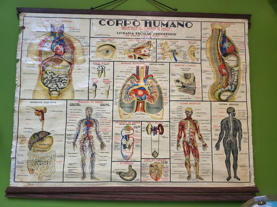 Poster escolar  Vintage