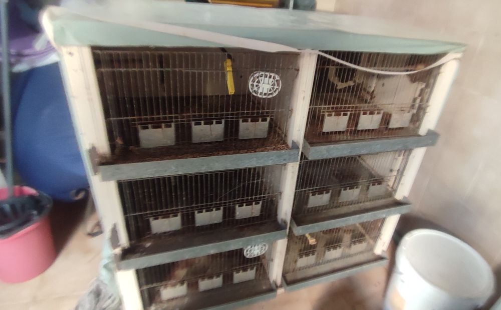 Gaiola para pássaros