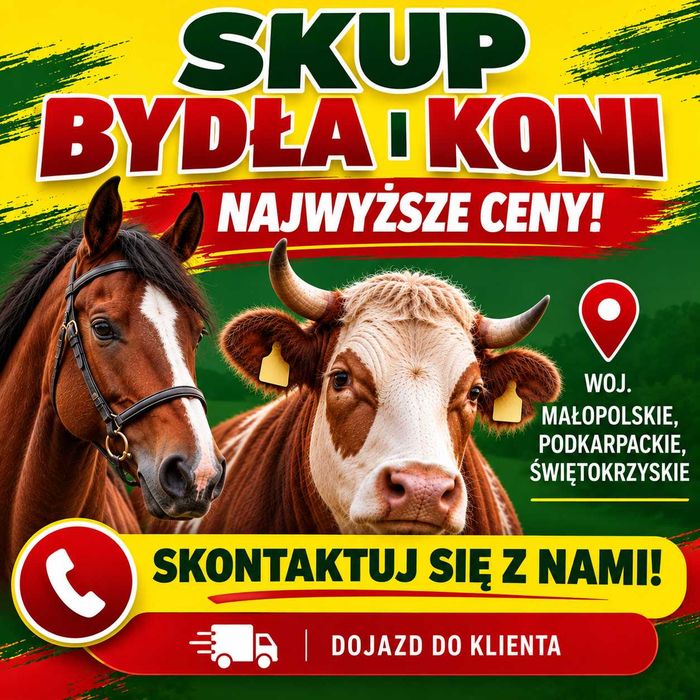 SKUP Bydła Koni Żywca !UBÓJ! Krowy,Krowa,Byk,Byków,Konie,Koń