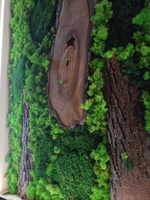 Dekoracyjne zielone ściany z chrobotka i drewna, oświetlenie LED