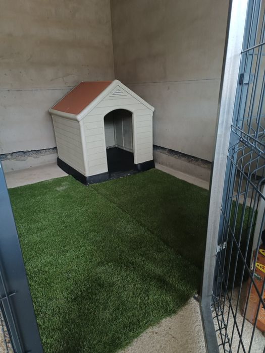 Pet hotel cuido do seu animal