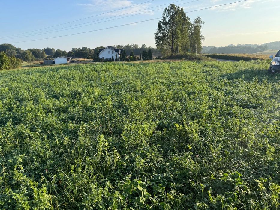 Działka Ramleje 1.5 km od Ostrzyc - Widok 2