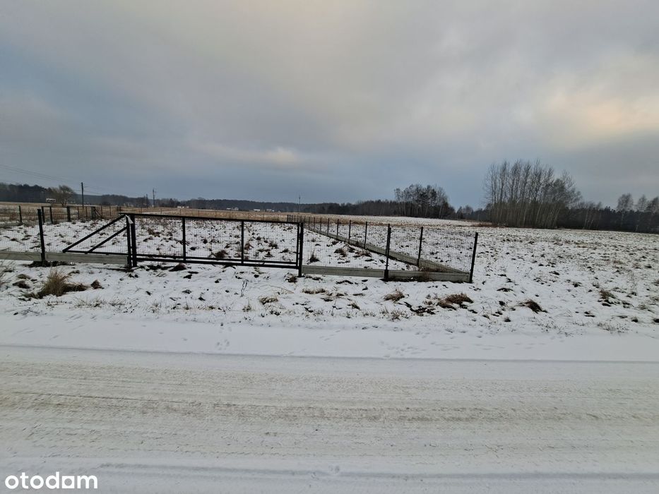 Działka rolno-budowlana z dostępem do mediów - View 2