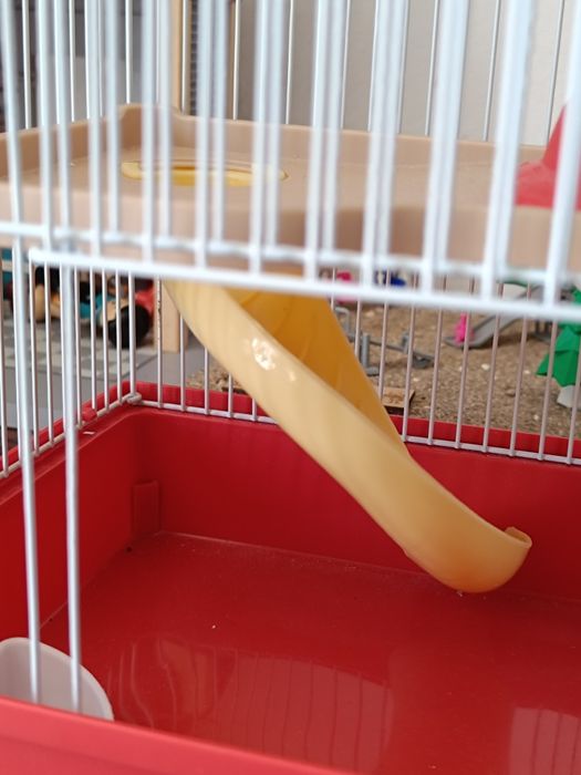 Casa para hamster usada apenas 2 meses Penafiel • OLX.pt