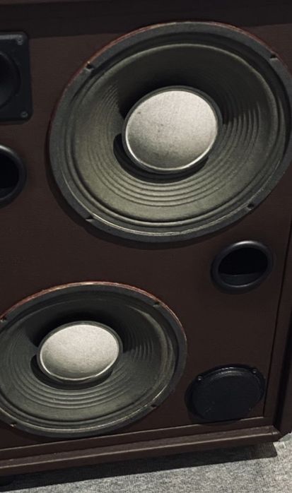 Par de altifalantes Mckenzie de 12 polegadas (30 cm)