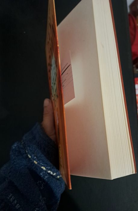 "Fortaleza Digital"
Novo
6 euros