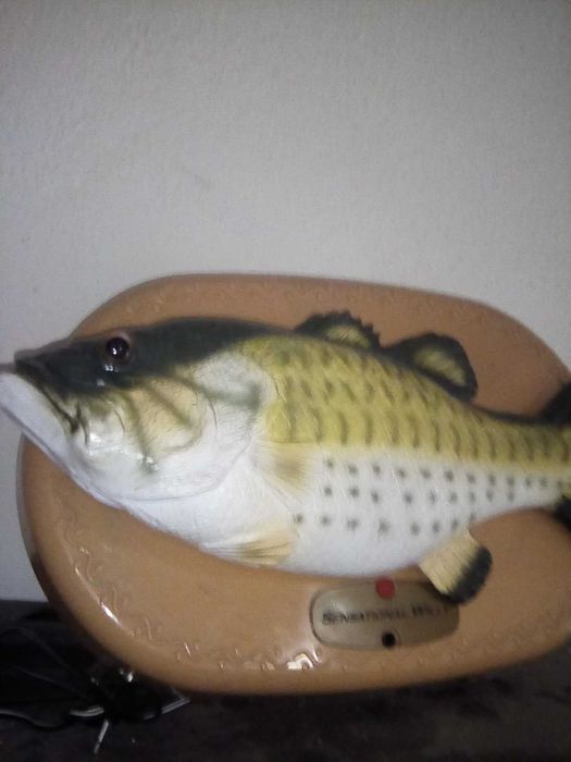 Peixe sensacional willy