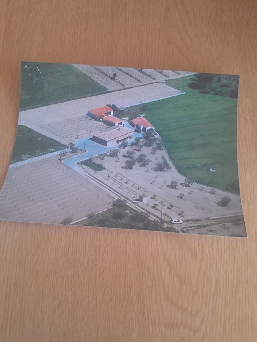 Quinta com 4,5ha. Com moradia t 3,com diversos anexos, muita água e arvores de fruto . Zona da Covilhã.