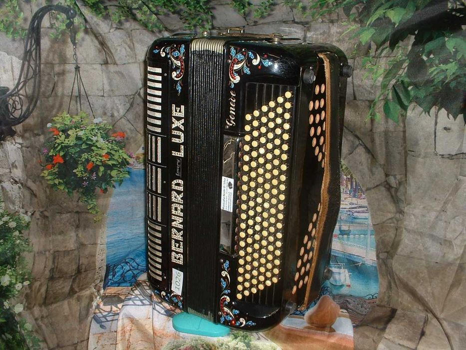 Promoção de Acordeões de concertinas