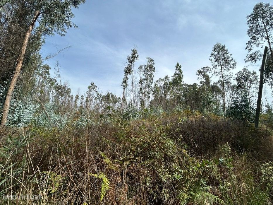 Terreno à Venda | 2.550 m² | Gougeba