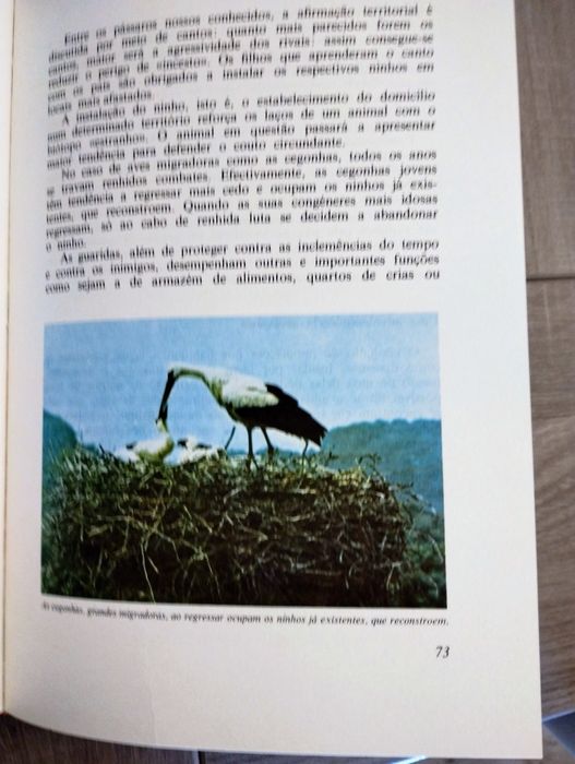 ESTE PLANETA EM QUE VIVEMOS

Edição: Amigos do Livro Editores - Lisboa