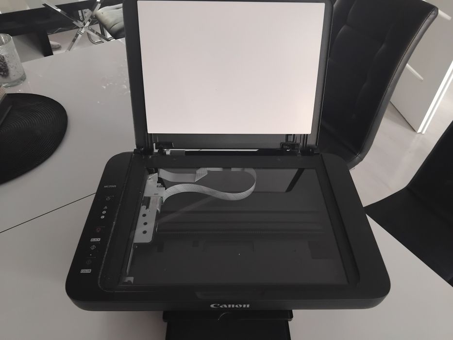 Drukarka Canon MG2550S