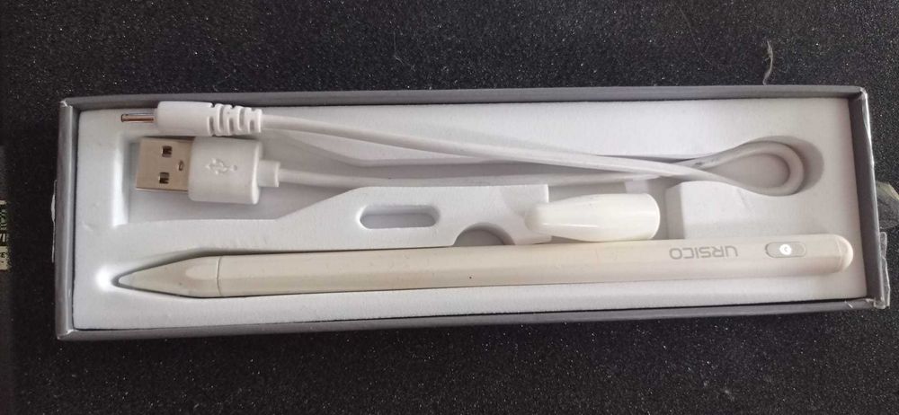 Rysik został zaprojektowany dla Apple iPad