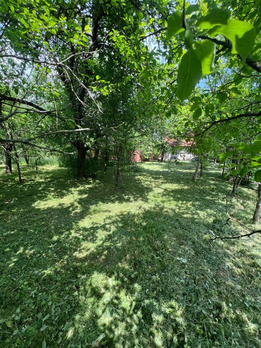 Цегляний будинок 46 м² + 8 соток землі | Станиля | 2 км до Трускавця