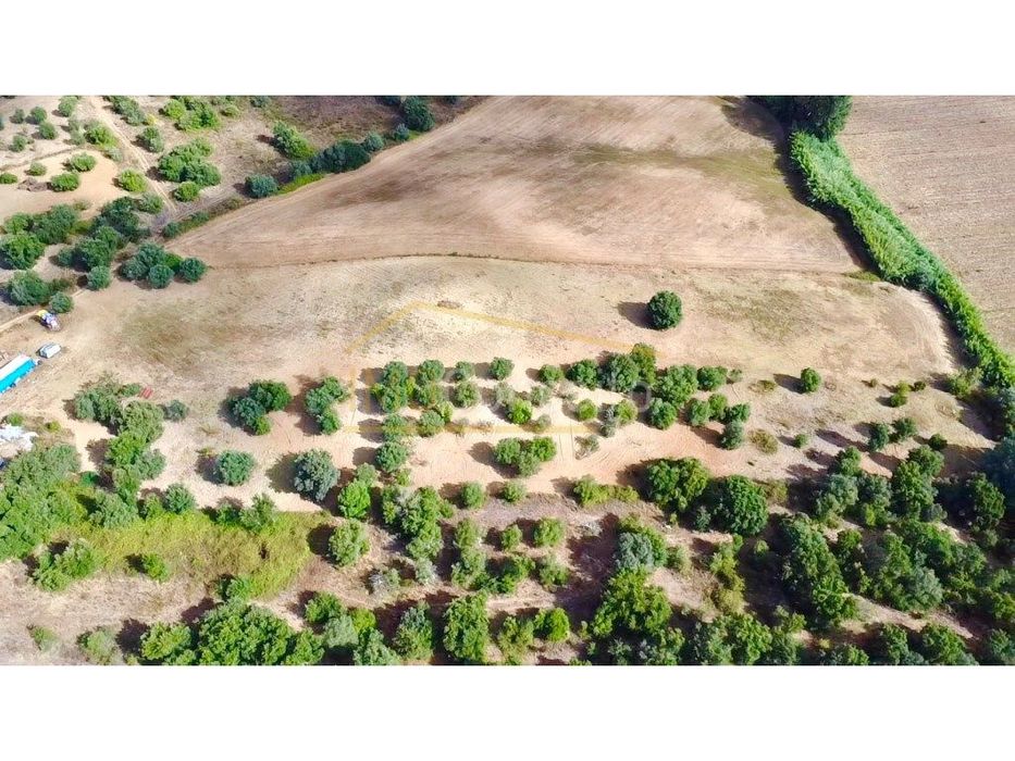 Terreno em Brogueira 20.000m2 Projeto Aprovado + Contentor T2